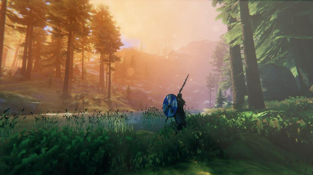 Valheim settlement building